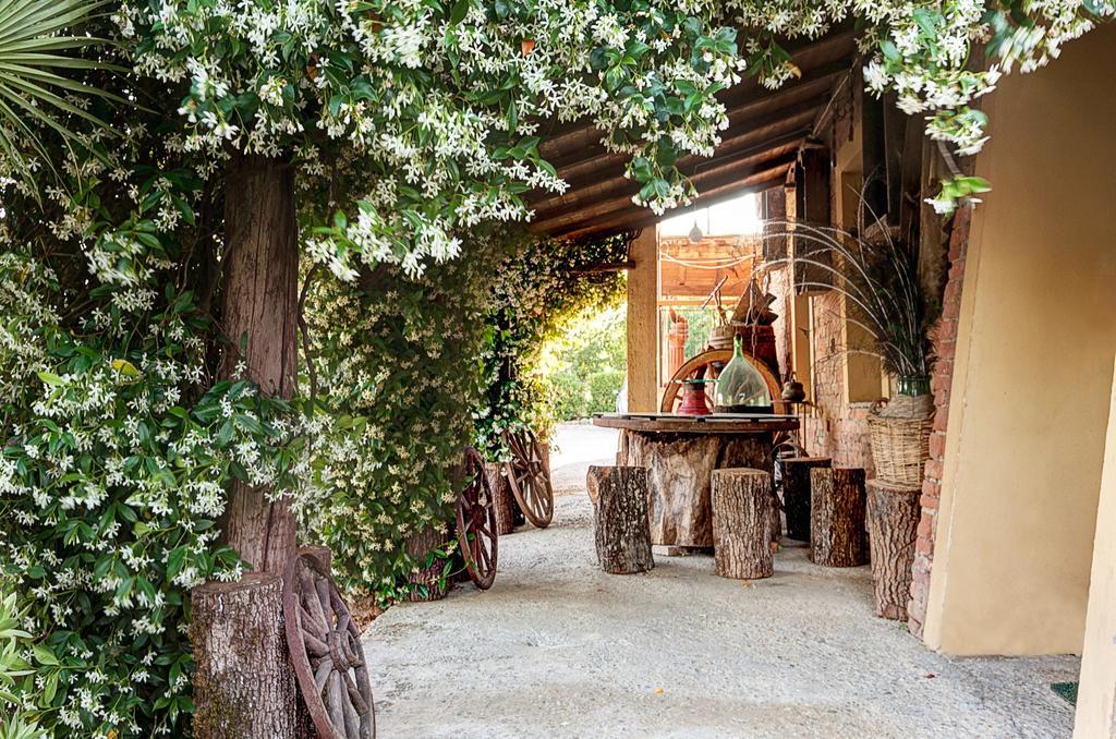 Appartamenti Alcantara E Damasco アッバディーア・ディ・モンテプルチャーノ 部屋 写真